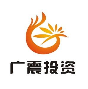 上海廣震投資管理 專業投資咨詢的明智選擇